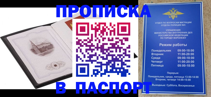 прописка в квартире в Звенигово